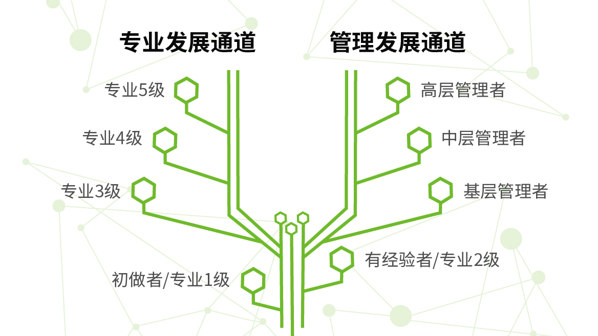 ְҵ����ͨ��