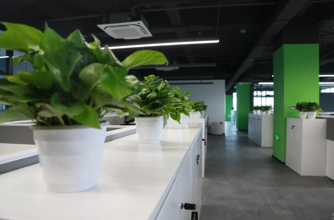 �����ϸ硤(�й�)���ֲ��ٷ���վ